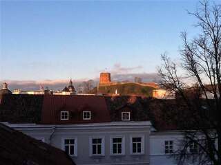 Апартаменты President Apartments Вильнюс Мезонет-13